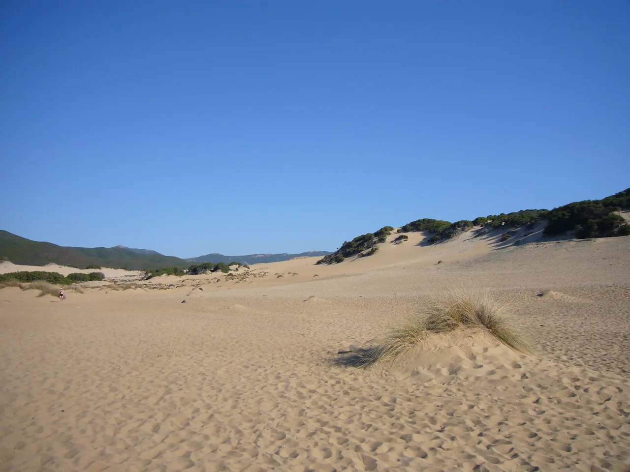 Weite Sanddünen von Piscinas mit Strandgras unter blauem Himmel.